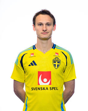 Hjalmar Ekdal of the Swedish men's national football team poses for a portrait