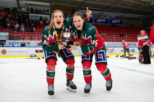 Frölunds spelare jublar