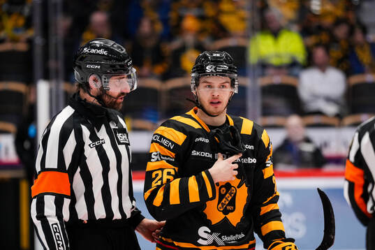 Domare Mikael Sjöqvist och Skellefteås Simon Robertsson