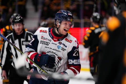 Linköpings Vilmos Gallo