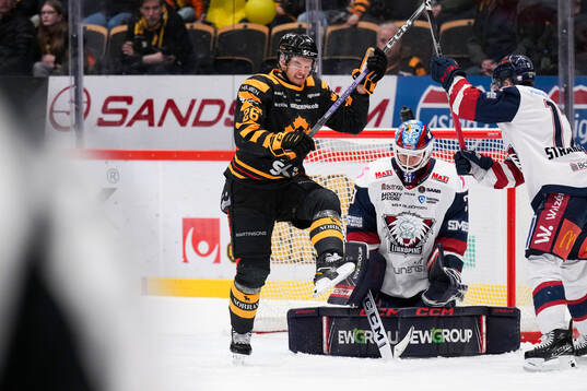 Skellefteås Simon Robertsson och Linköpings målvakt