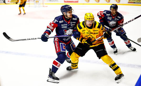 Linköpings Arvid Costmar och Skellefteås Pär Lindholm