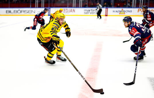Skellefteås Martins Dzierkals och Linköpings Jesper