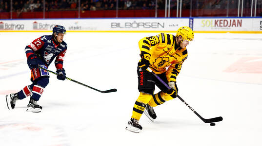 Linköpings Vilmos Gallo och Skellefteås Rickard Hugg