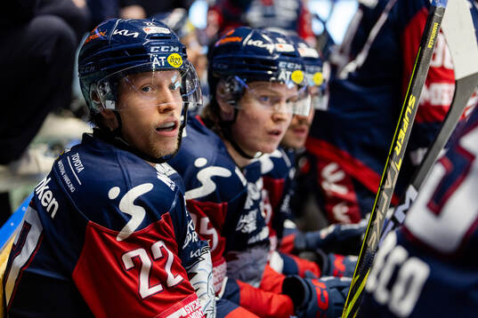 Linköpings Vilmos Gallo