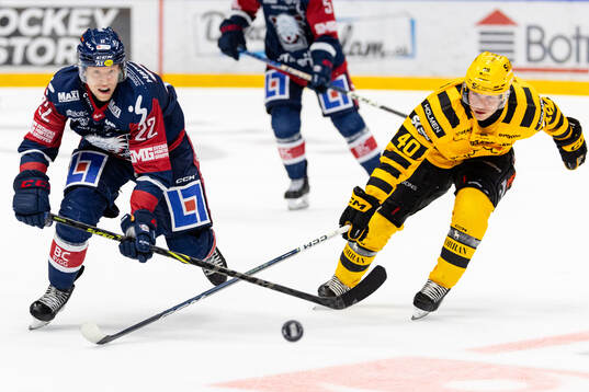 Linköpings Vilmos Gallo och Skellefteås Anton Heikkinen