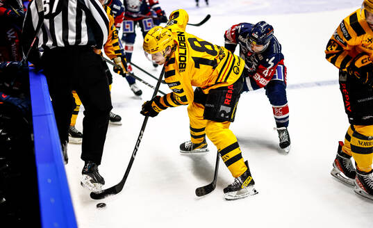 Skellefteås Elias Stenman och Linköpings Broc Little