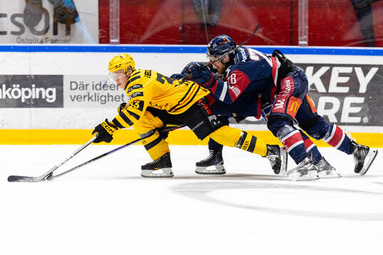 Skellefteås Zeb Forsfjäll och Linköpings John Nyberg