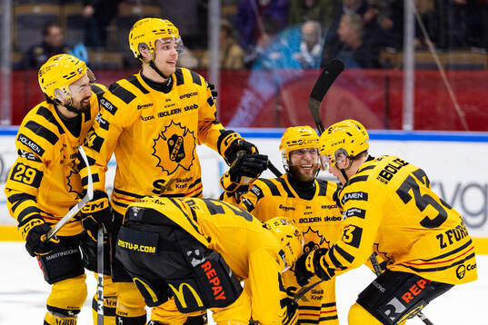 Skellefteås spelare jublar