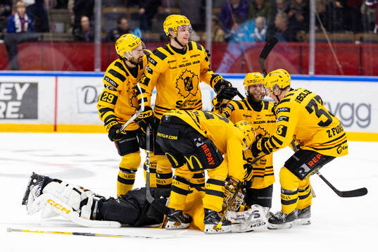 Skellefteås spelare jublar