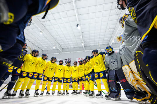 Players of Sweden