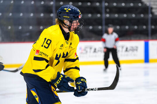Sara Hjalmarsson of Sweden celebrates scoring 1-1
