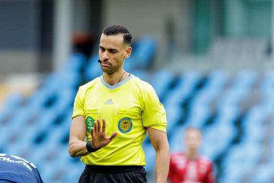 Domare Farouk Nehdi