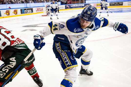 Leksands Carter Ashton