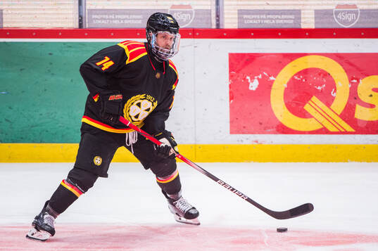 Brynäs Chad Billins