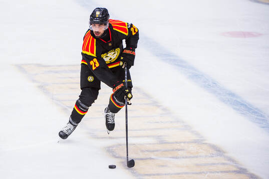 Brynäs Tyler Vesel
