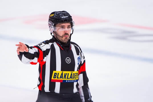 Domare Mattias Enroth