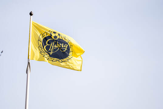 Elfsborgs flagga