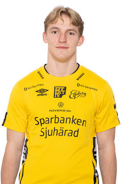 Arvid Söderliden