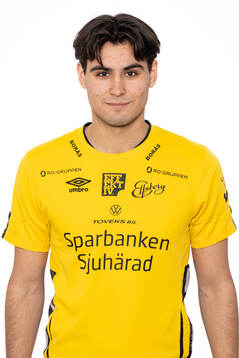 Leo Saritas Bylund