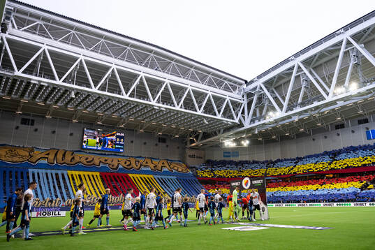 Djurgårdens supportar med tifo