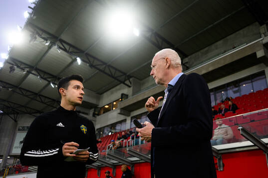 Fjärdedomare Dino Demo och Svenska fotbollförbundets