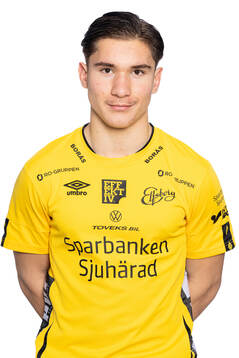 Adnan Skrijelj