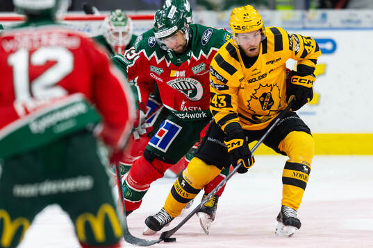 Frölundas Mikael Ruohomaa och Skellefteås Filip Sandberg