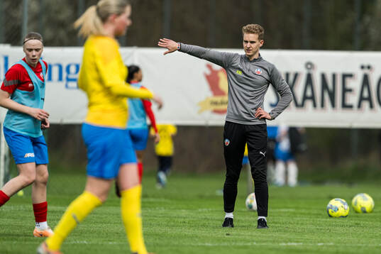 Helsingborgs assisterande tränare Elias Åkerborg