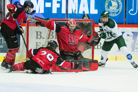 Örebros målvakt Herman Liv