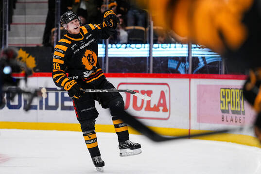 Skellefteås Linus Lindström jublar