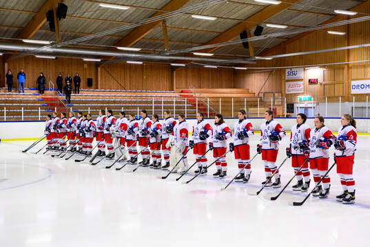 Players of Czech Republic at lineup