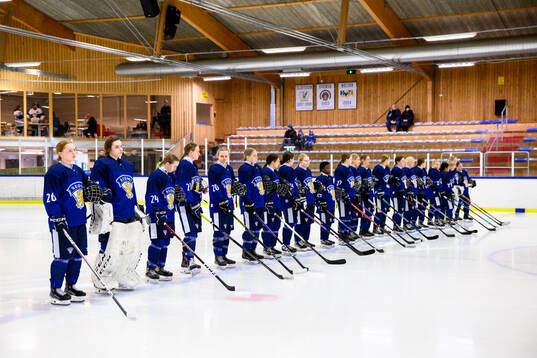 Players of Finland at lineup