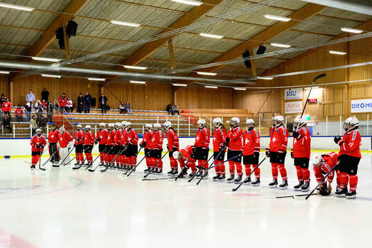 Players of Switzerland at lineup