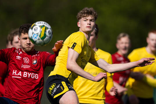 Elfsborgs Oliver Molander Adevåg