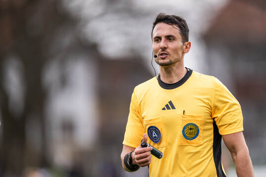 Domare Adi Aganovic