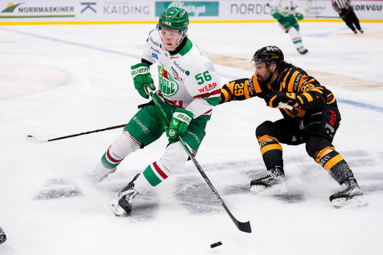 Rögles Adam Engström och Skellefteås Dylan Sikura