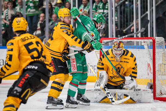 Skellefteås Elias Salomonsson och Linus Söderström