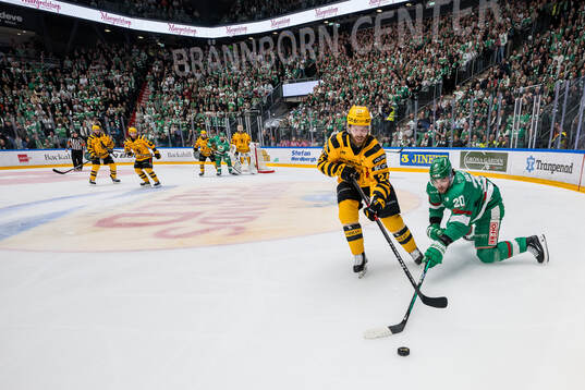 Skellefteås Oscar Lindberg och Rögles Lian Bichsel