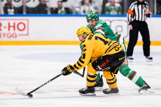Skellefteås Andreas Johnson och Rögles Brandon Davidson