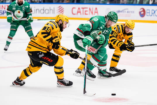 Rögles Rodrigo Abols mot Skellefteås Martins Dzierkals