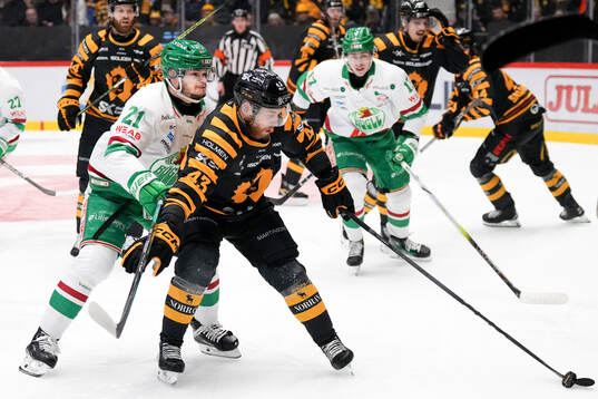 Rögles Henry Bowlby och Skellefteås Filip Sandberg