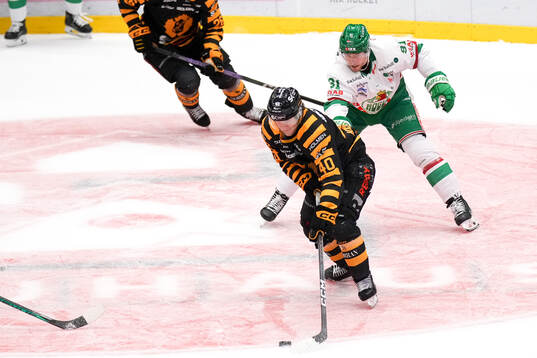 Skellefteås Anton Heikkinen och Rögles Adam Tambellini