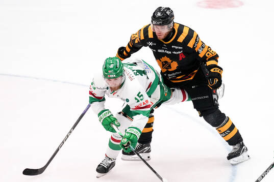Rögles Simon Ryfors och Skellefteås Rickard Hugg