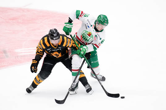 Skellefteås Filip Sandberg och Rögles Adam Engström