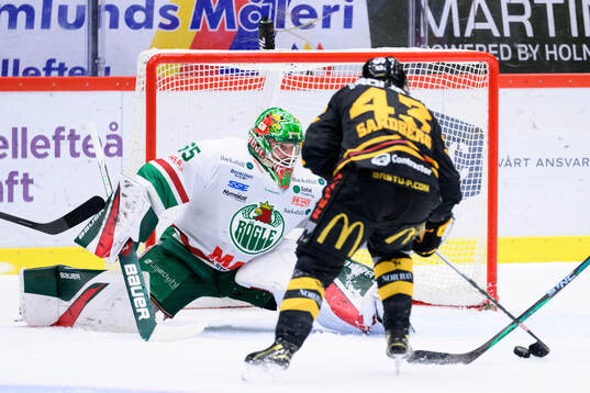 Rögles målvakt Christoffer Rifalk och Skellefteås Filip