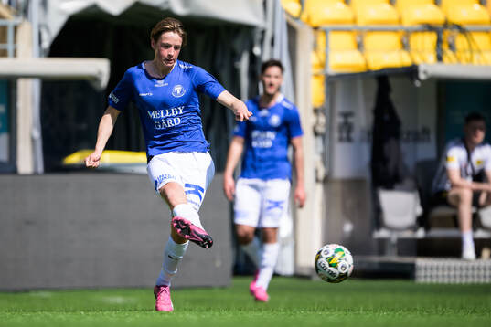Trelleborgs Hjalmar Fredricson