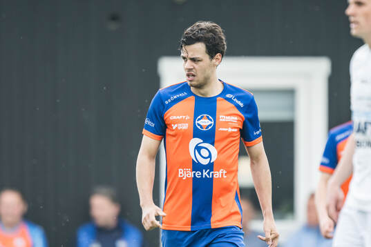 Vejbys Hugo Rosendahl