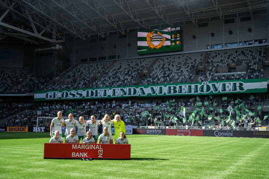 Hammarbys startelva