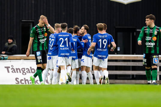 Trelleborgs Hady Saleh Karim jublar med lagkamrater efter 0-1